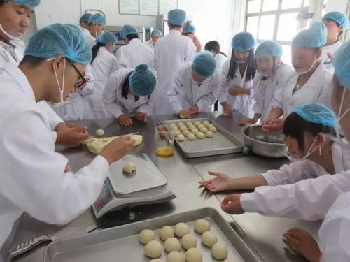 生物与食品工程学院