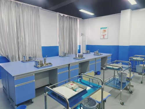 武汉技能高考复读能上哪些学校