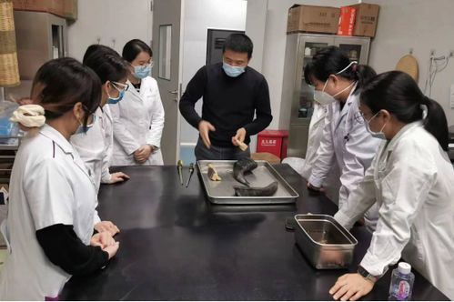 练就 火眼金睛 弘扬中医文化 访中药鉴定能手黄庆宝