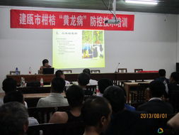 建瓯市柑橘黄龙病防控技术培训