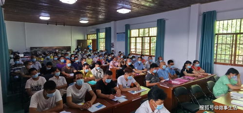 龙州县农业技术培训学习班助力产业升级，农业发展迎来新希望