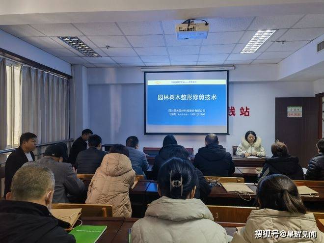 三门峡市绿化工程管理处开展园林技术专题培训，提升精细化管养水平